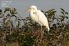 Thumbnail of named item displayed