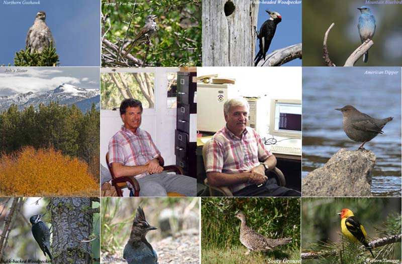 Photos of Meyers and birds displayed here